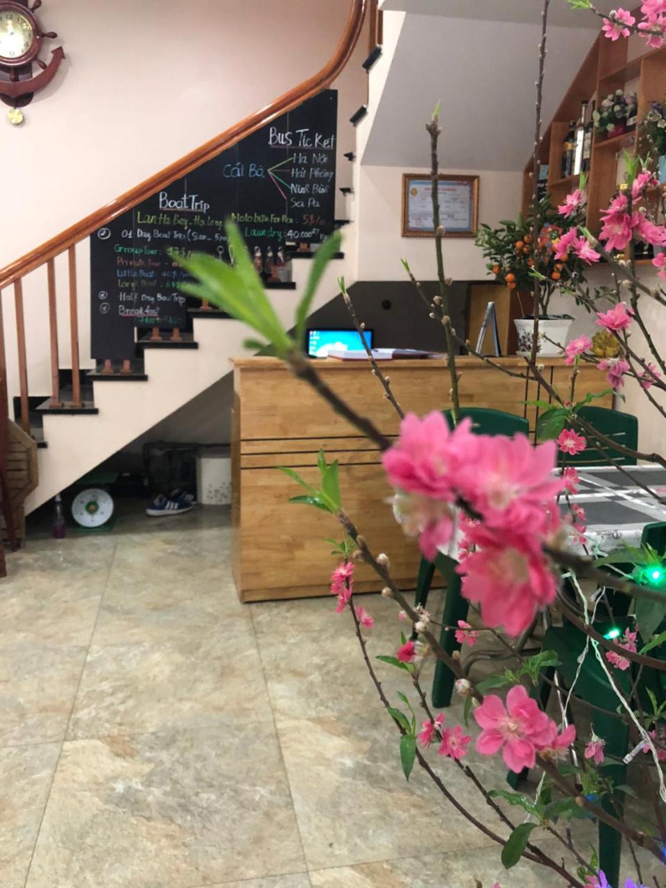 Nhatmaihostel Dong Khe Sau エクステリア 写真